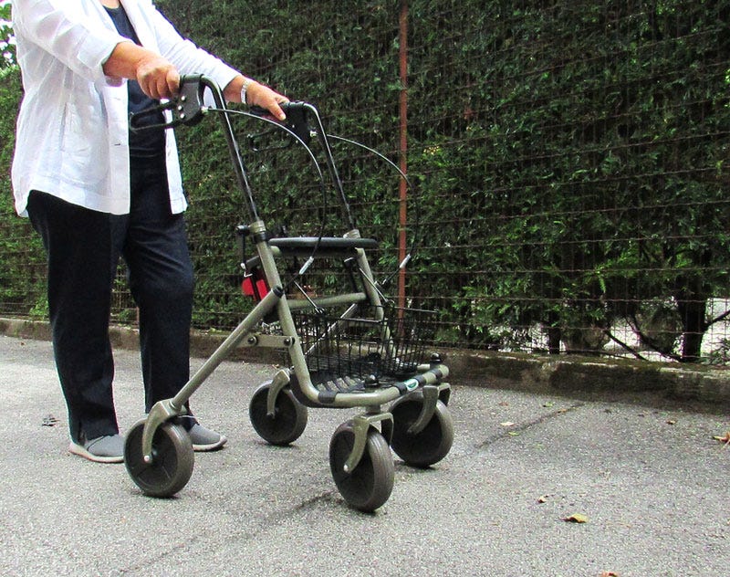 Deambulatore Rollator Easy Rolly 4 a 4 ruote con freni, cestino e vassoio