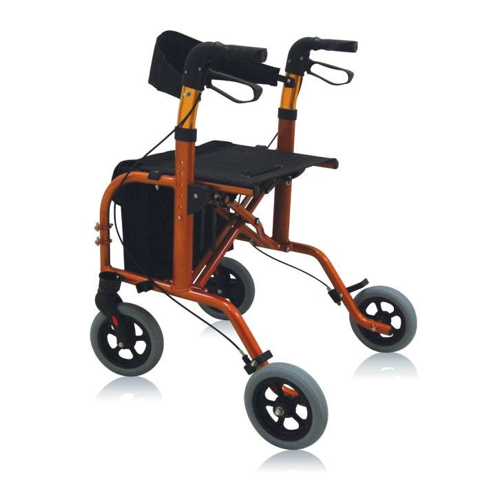 Deambulatore rollator e carrozzina City Partner 2 IN 1